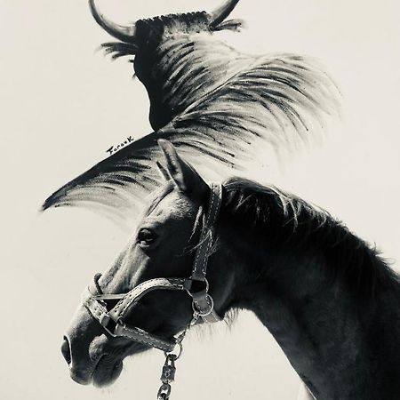 Gites Equestres Lou Caloun - Les Saintes Maries De La Mer 外观 照片